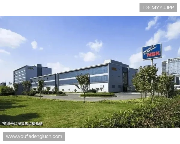 百苑国际：汇聚全球资源，推动区域经济快速发展的核心引擎